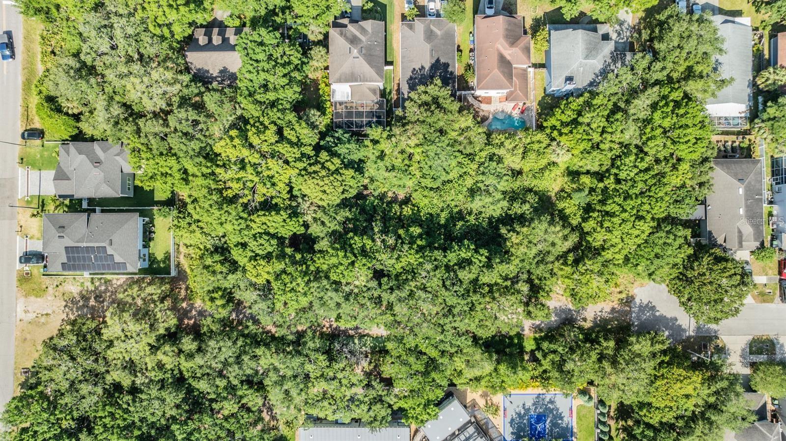 PORT TAMPA CITY MAP - Land