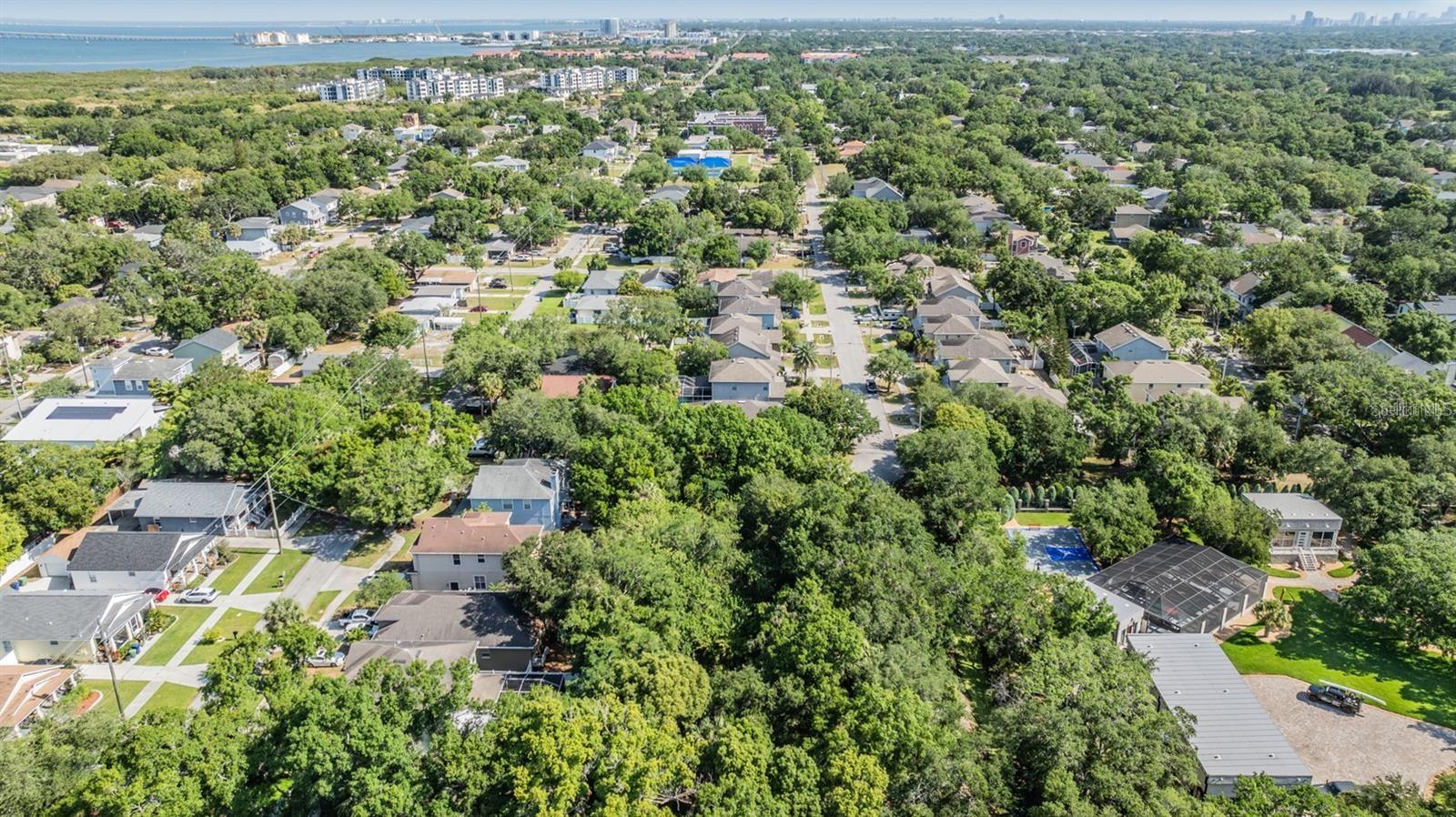 PORT TAMPA CITY MAP - Land