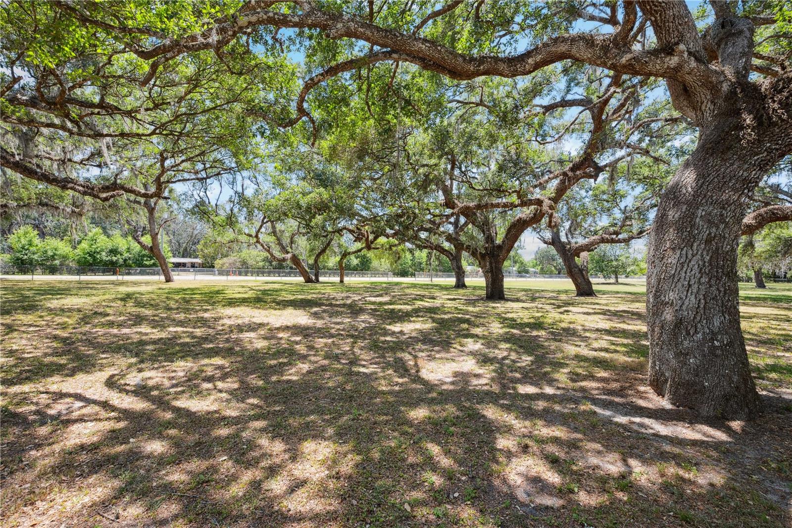 34125 CHANCEY ROAD