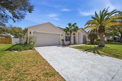 Photo of Odessa, FL 33556 (MLS # TB8485139)
