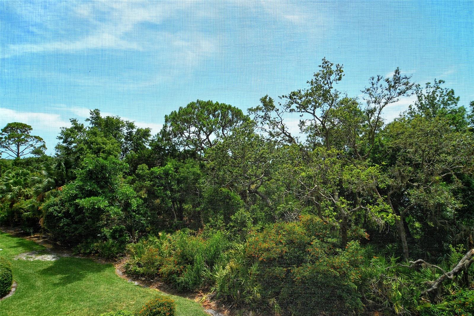 MERIDIAN AT THE OAKS PRESERVE - Residential