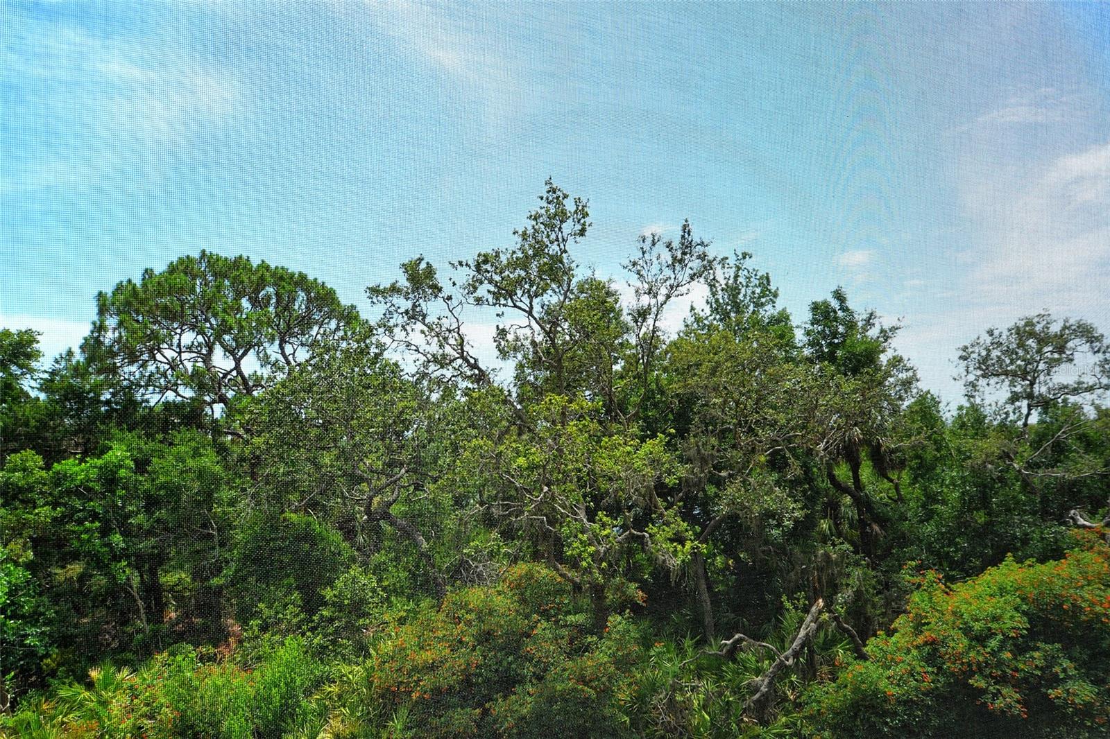 MERIDIAN AT THE OAKS PRESERVE - Residential