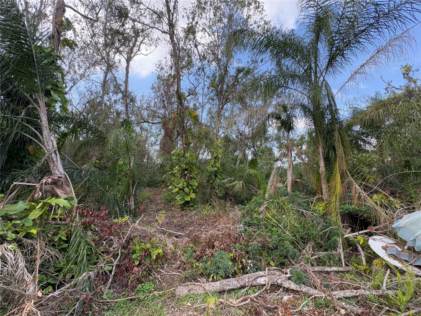 DESOTO ACRES - Residential