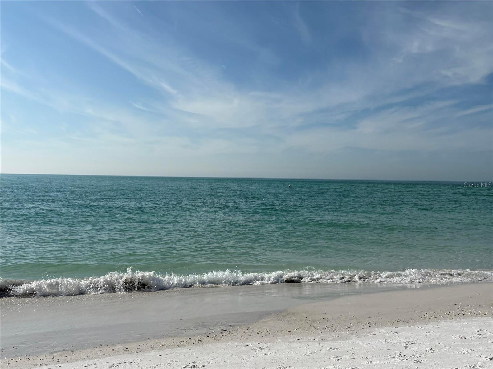 PALMA SOLA TRACE - Residential