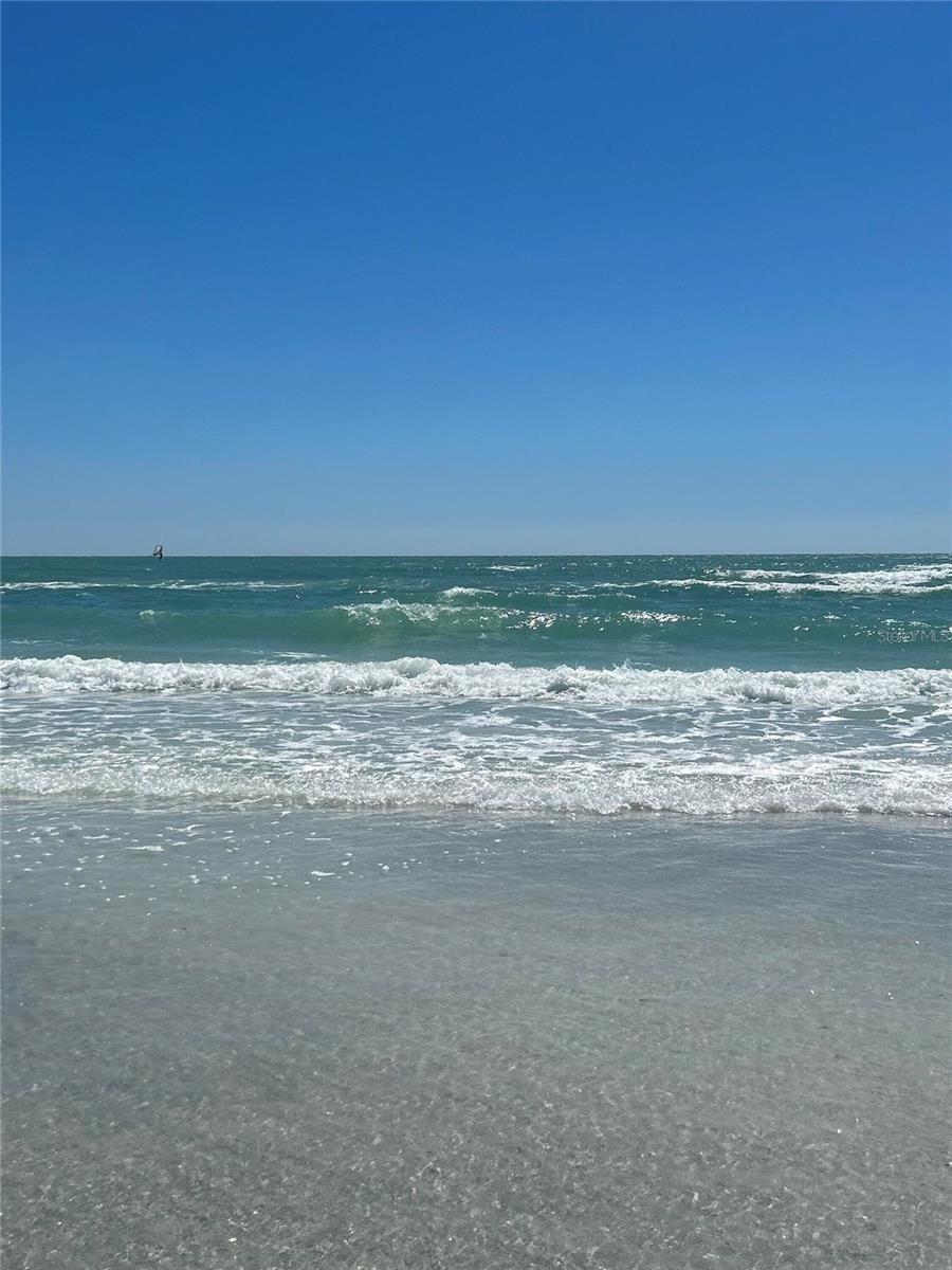 PALMA SOLA TRACE - Residential