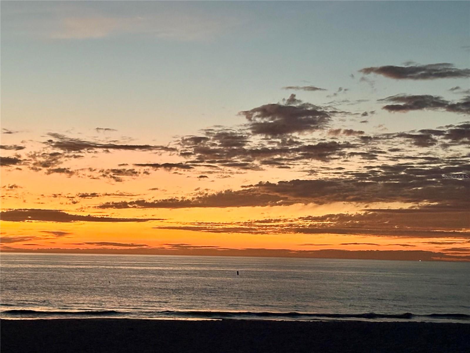 PALMA SOLA TRACE - Residential