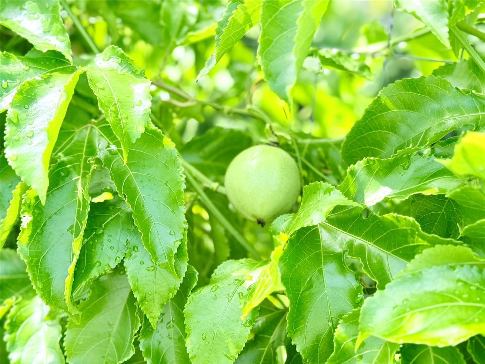 PORT CHARLOTTE SUB 41 1STPORT CHARLOTTE SUB - Residential