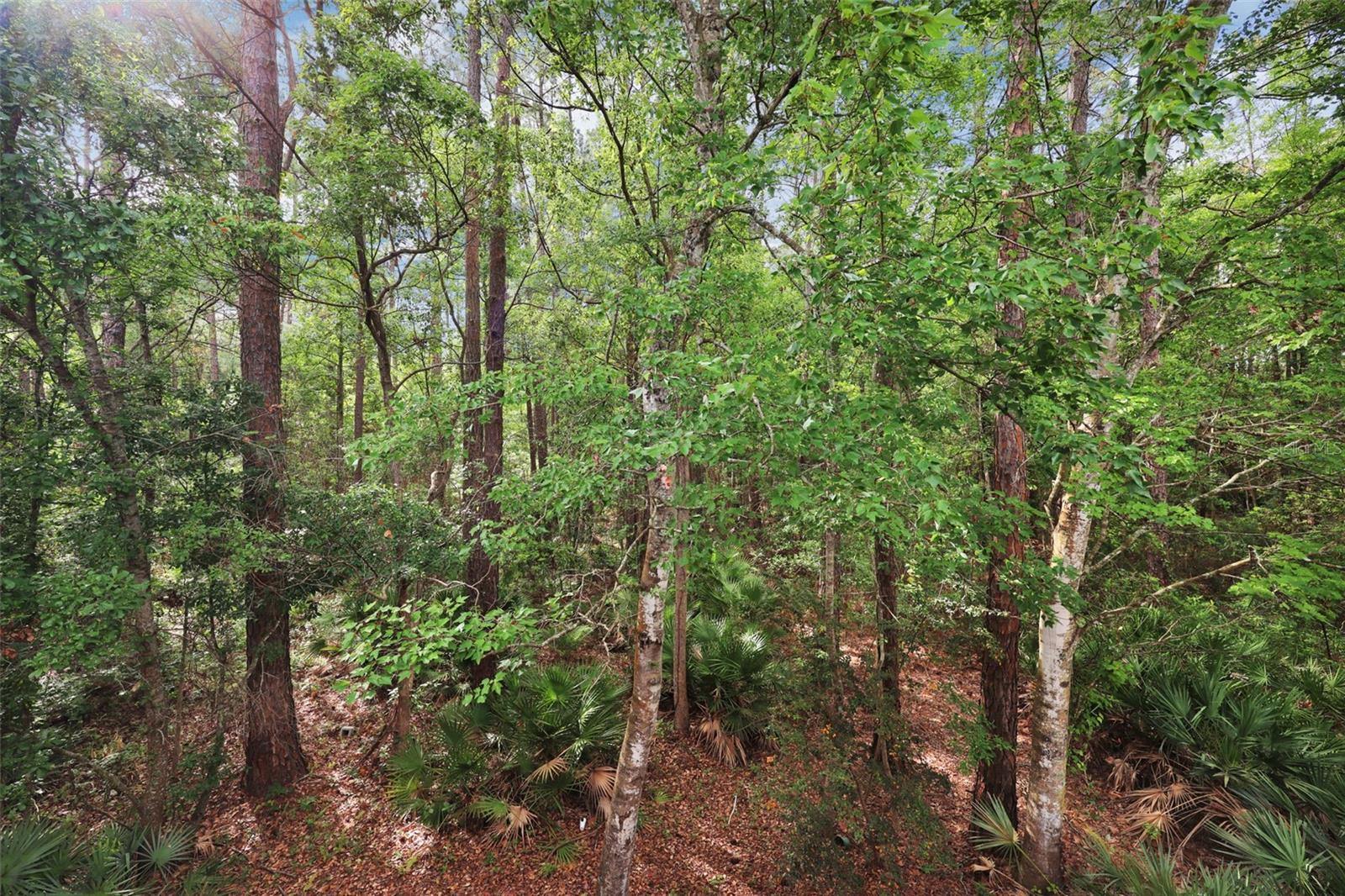 NATURES HIDEAWAY CONDO - Residential