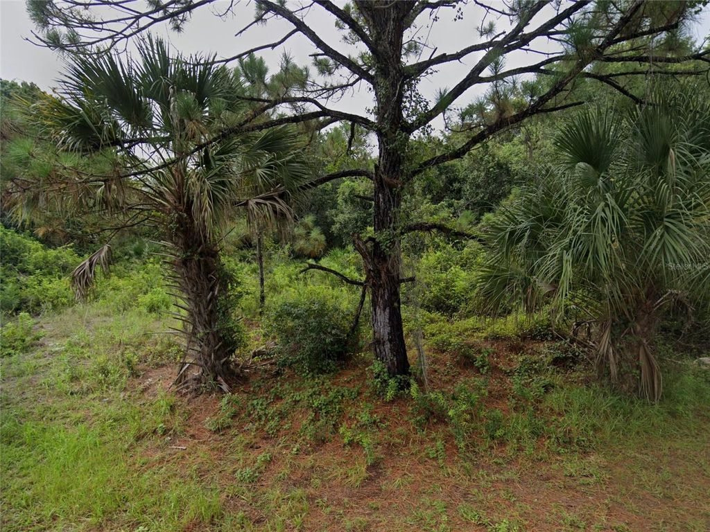 Photo of Skile Road, North Port, FL 34287 (MLS # N6133270)