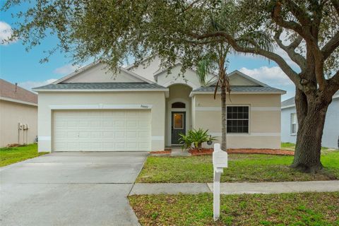 24607 VOLTERRA COURT LUTZ FL 33559