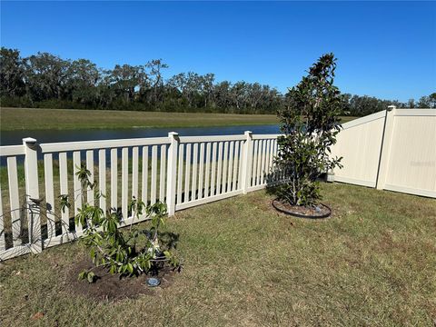 A home in WIMAUMA