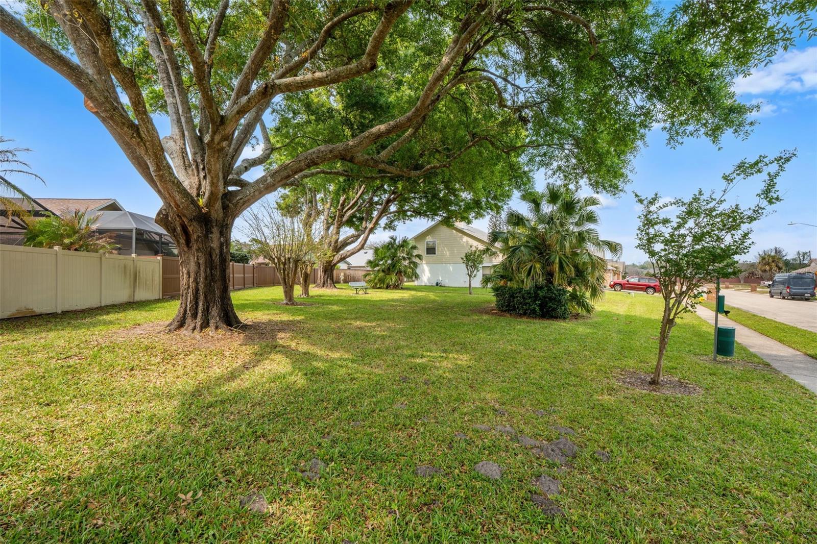 HYDE PARK - Residential