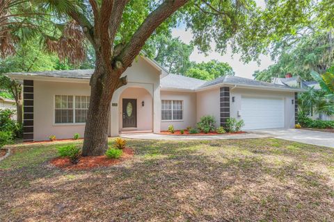 A home in TAMPA