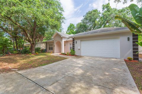 A home in TAMPA