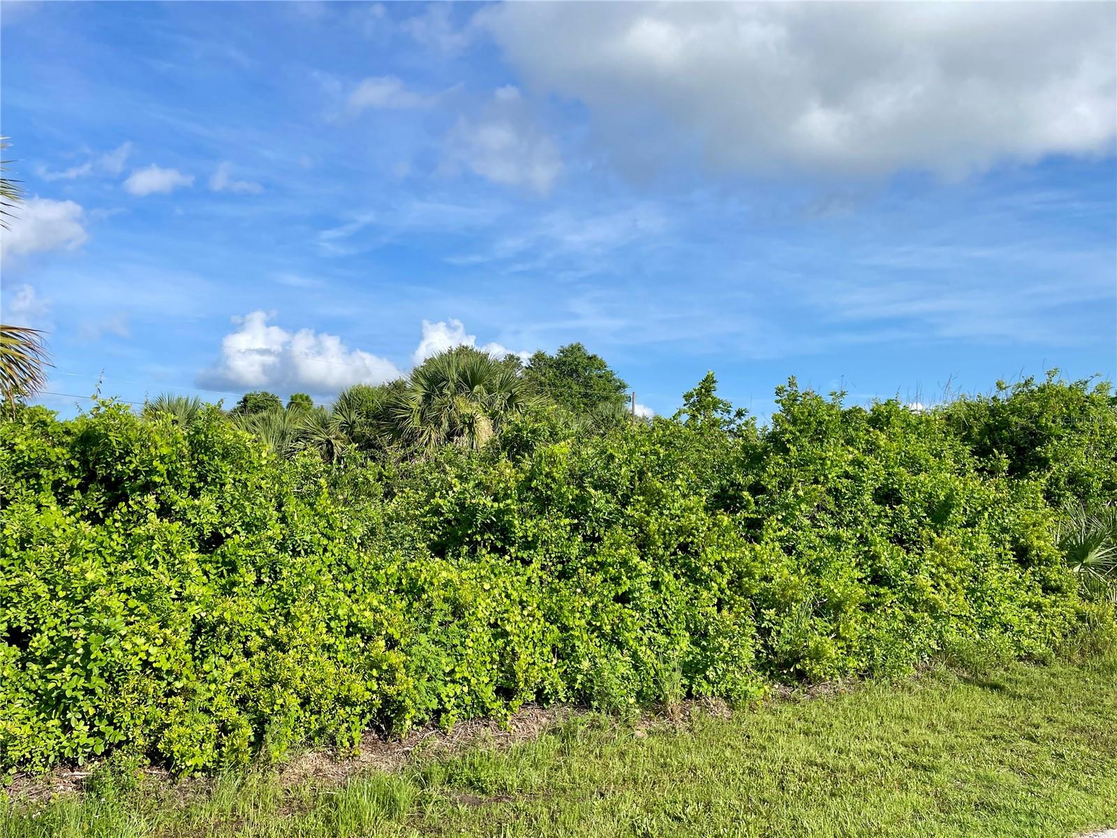 PORT CHARLOTTE SEC 064 - Land