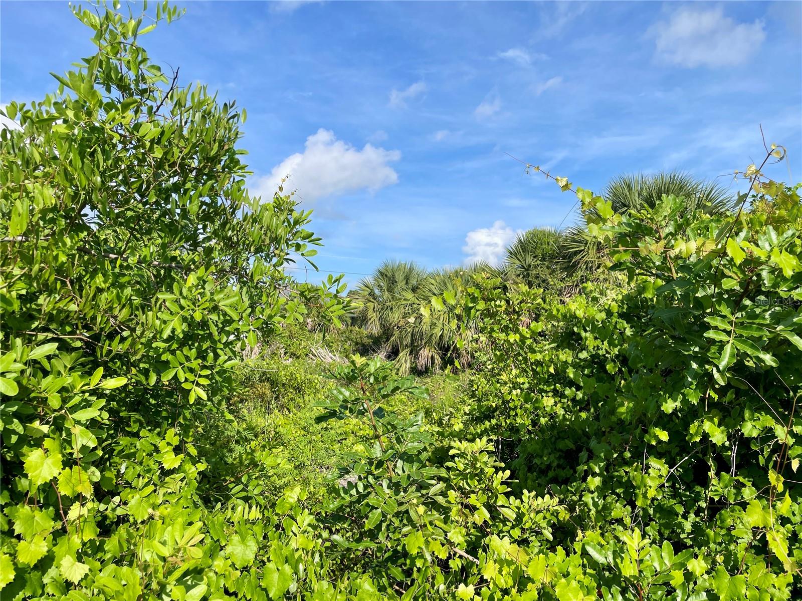 PORT CHARLOTTE SEC 064 - Land