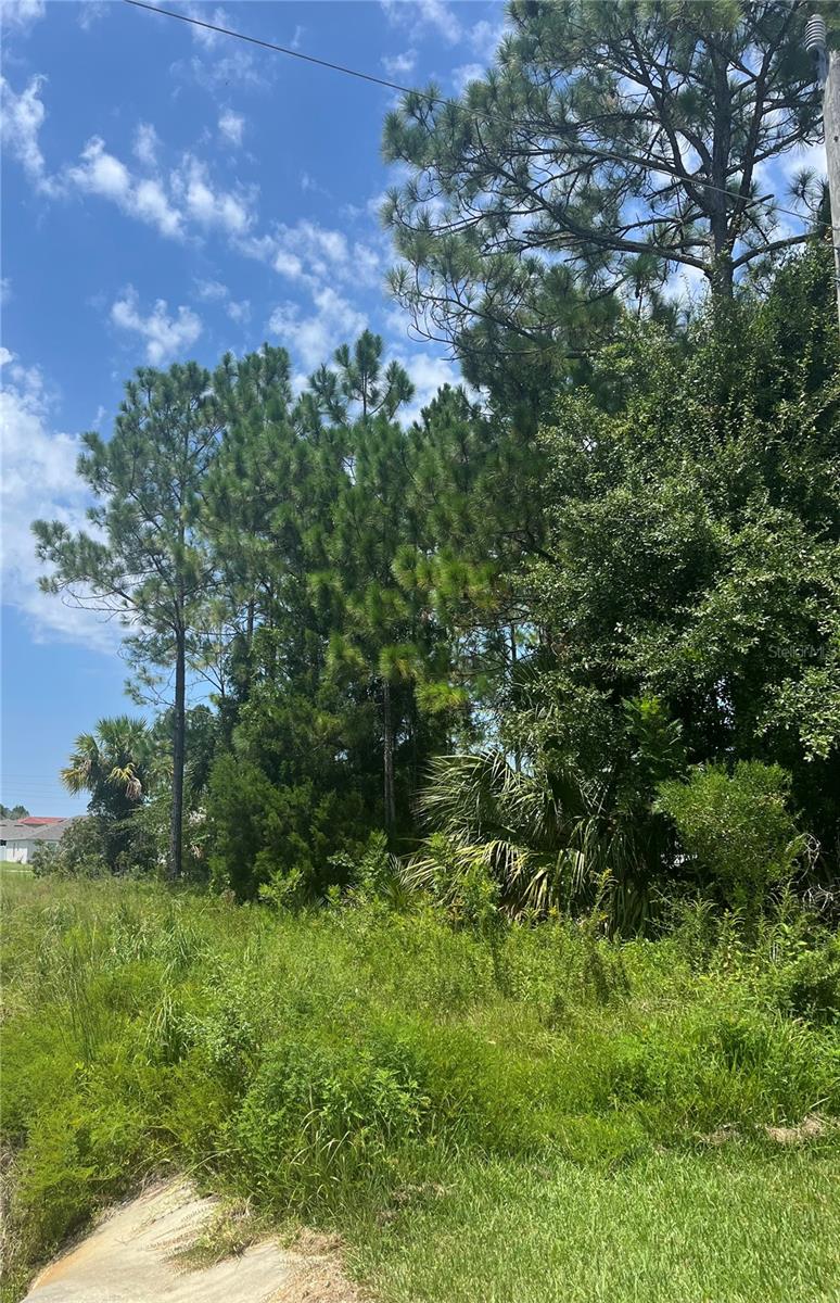 31 BUNKER KNOLLS LANE - Photo 3