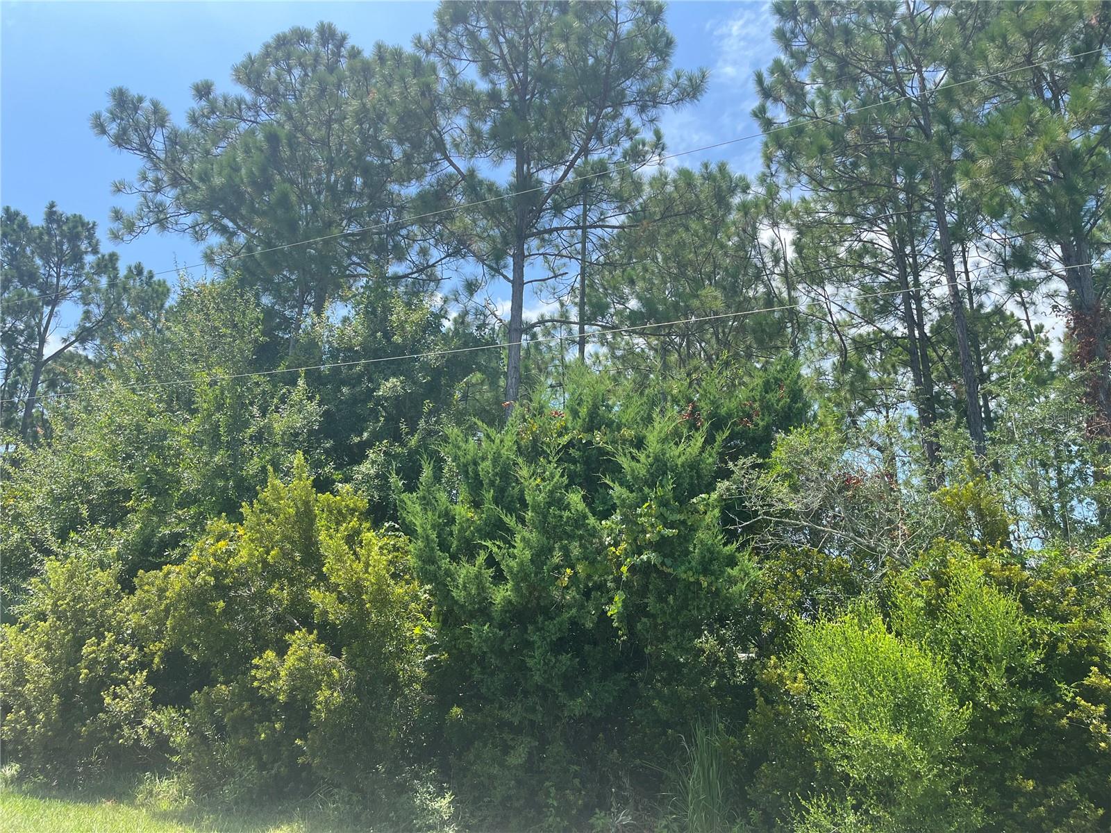 31 BUNKER KNOLLS LANE - Photo 4