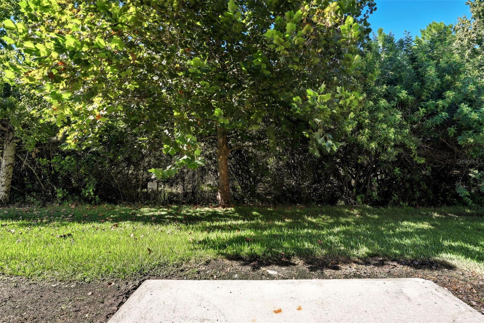 JACKSON PARK - Residential