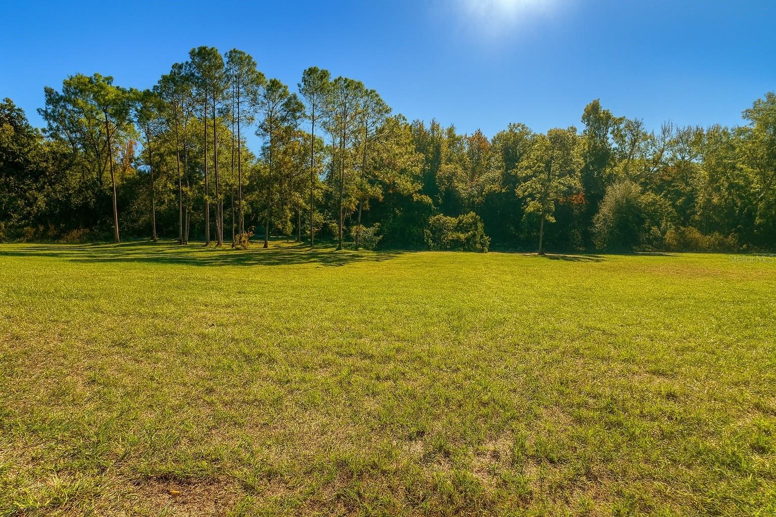 9509 SAN FERNANDO COURT