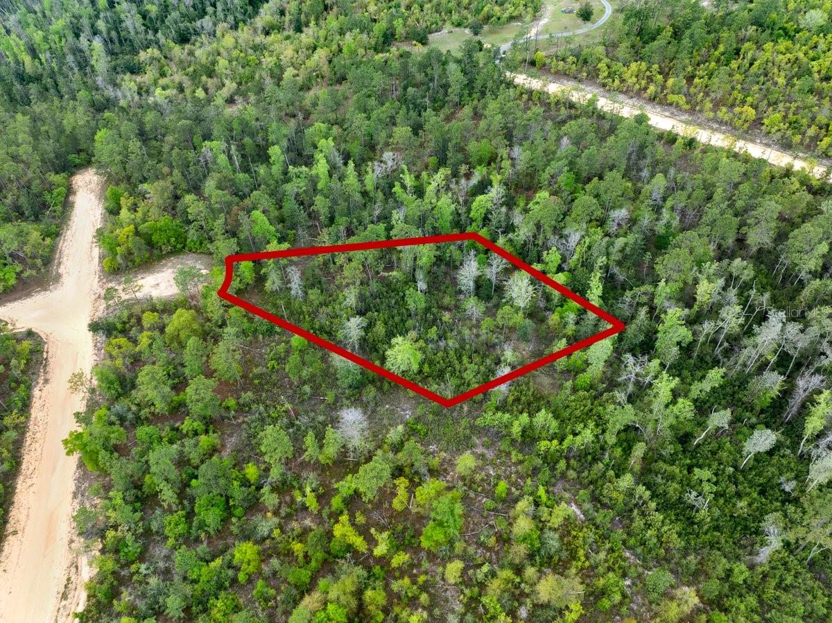 Listing image 1