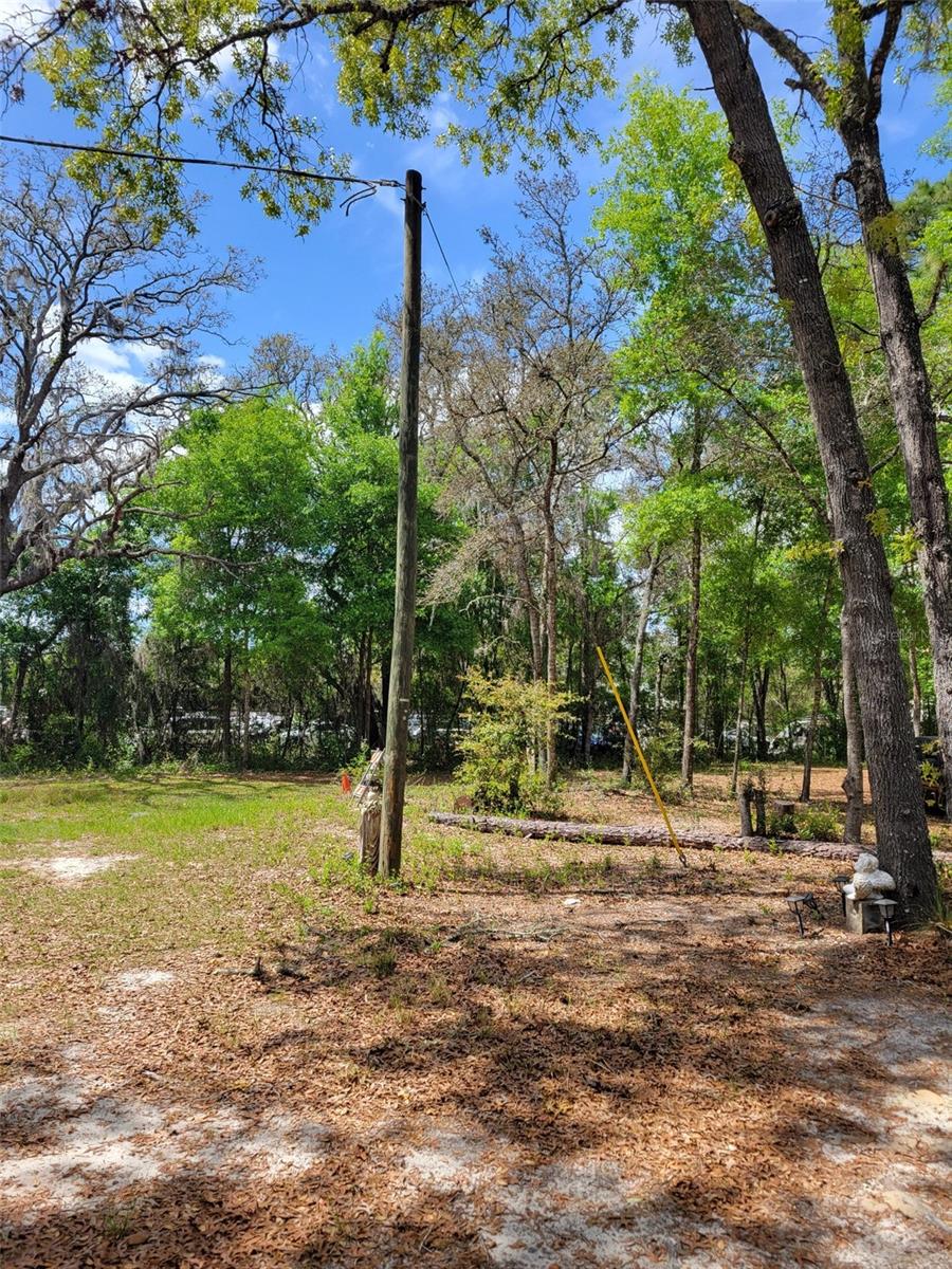 CENTRAL FLR COLLISION - Commercial Sale