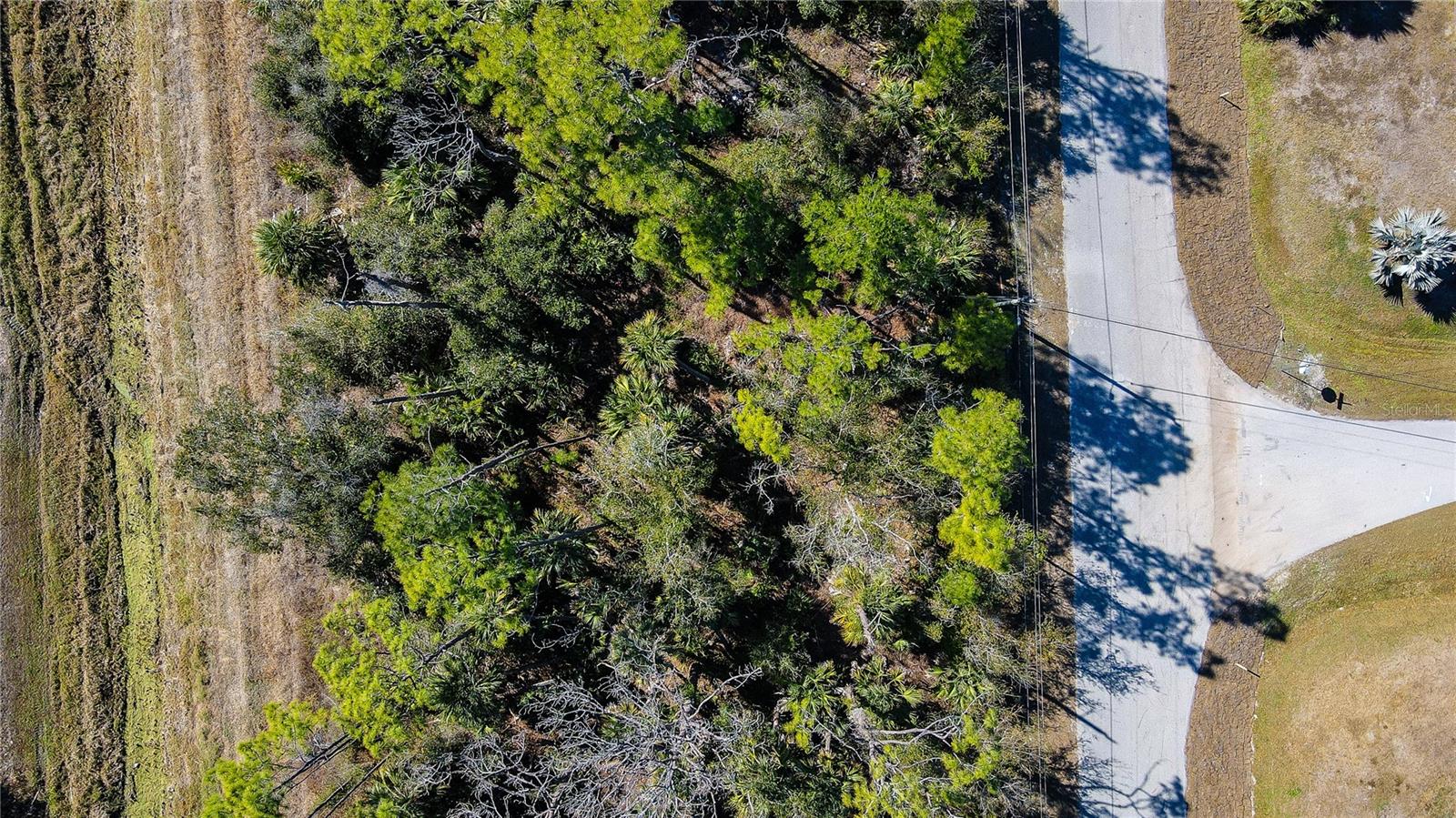 PORT CHARLOTTE SUB 29 - Land