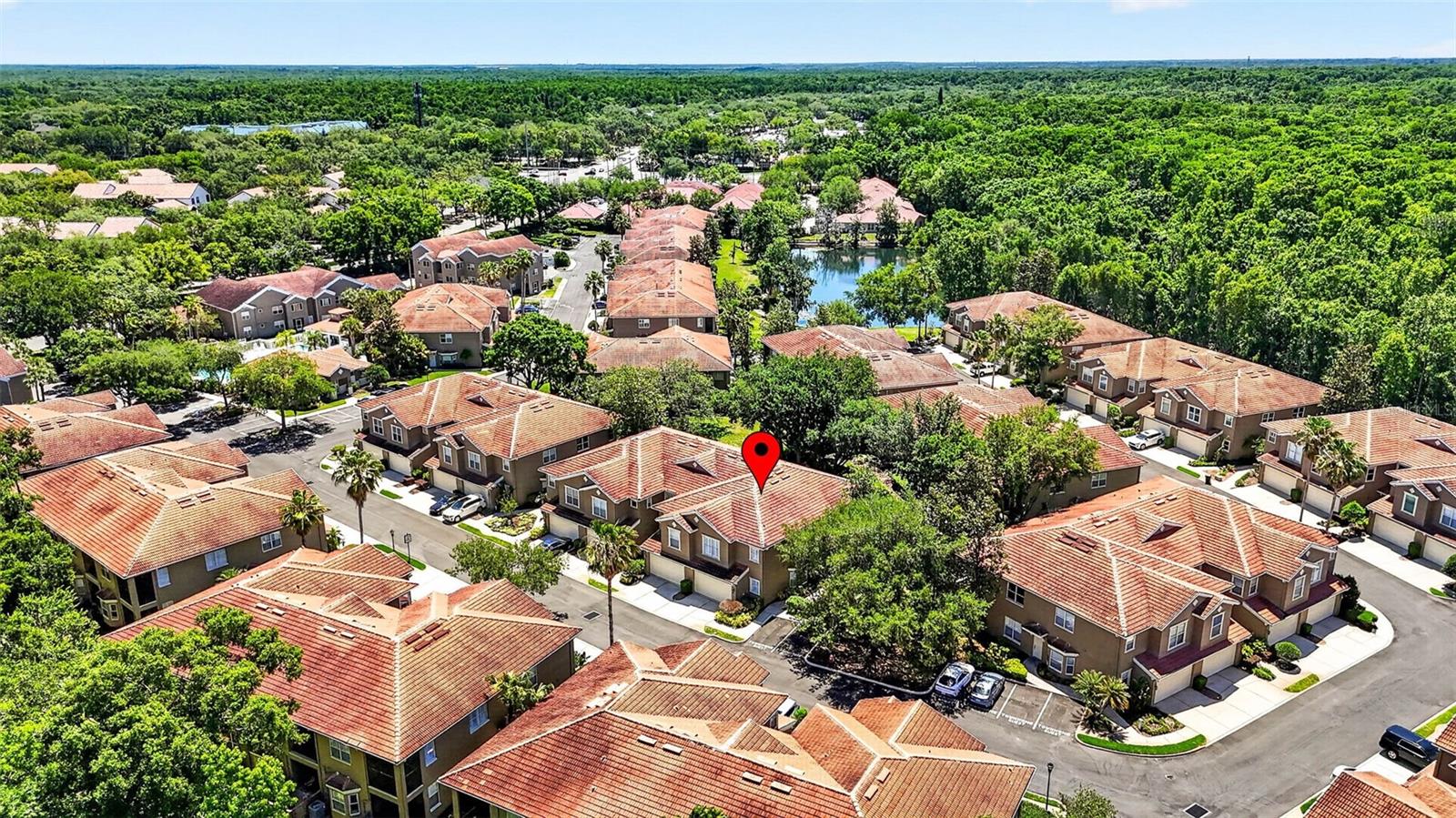 PALMA VISTA AT TAMPA PALMS - Residential