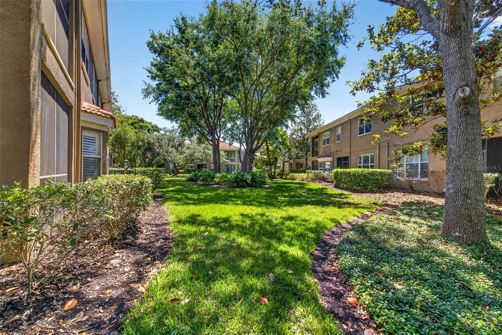 PALMA VISTA AT TAMPA PALMS - Residential