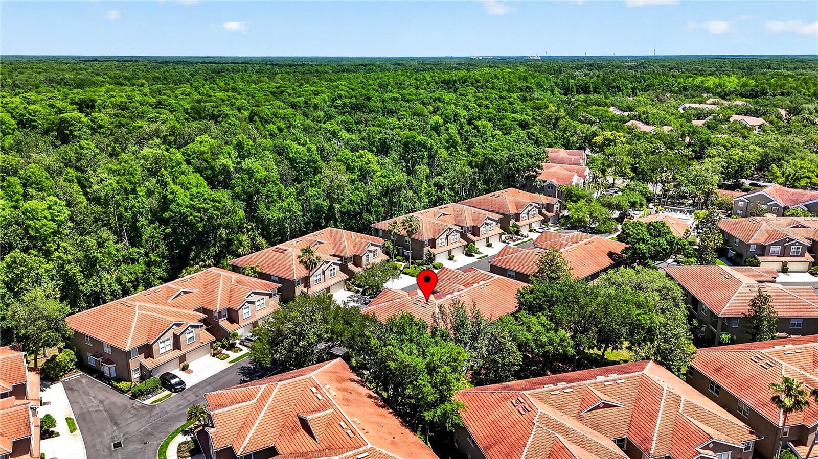 PALMA VISTA AT TAMPA PALMS - Residential
