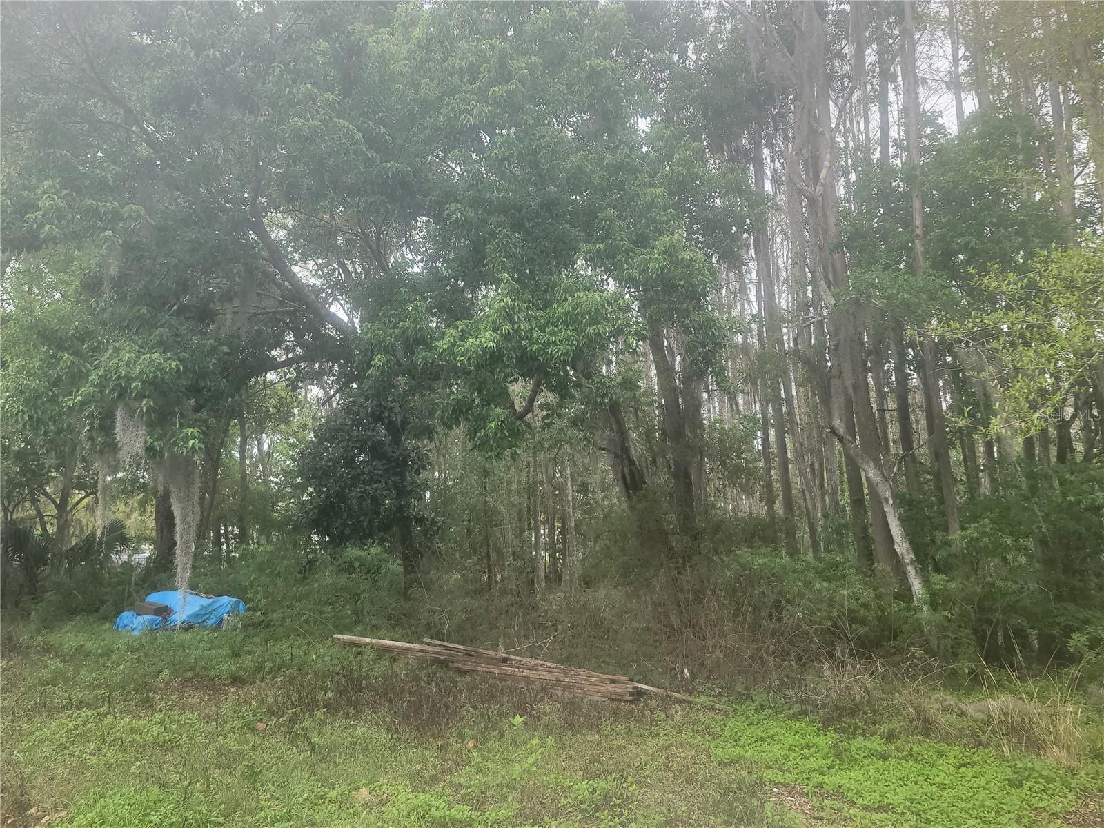 BEAR CREEK ESTATES - Land