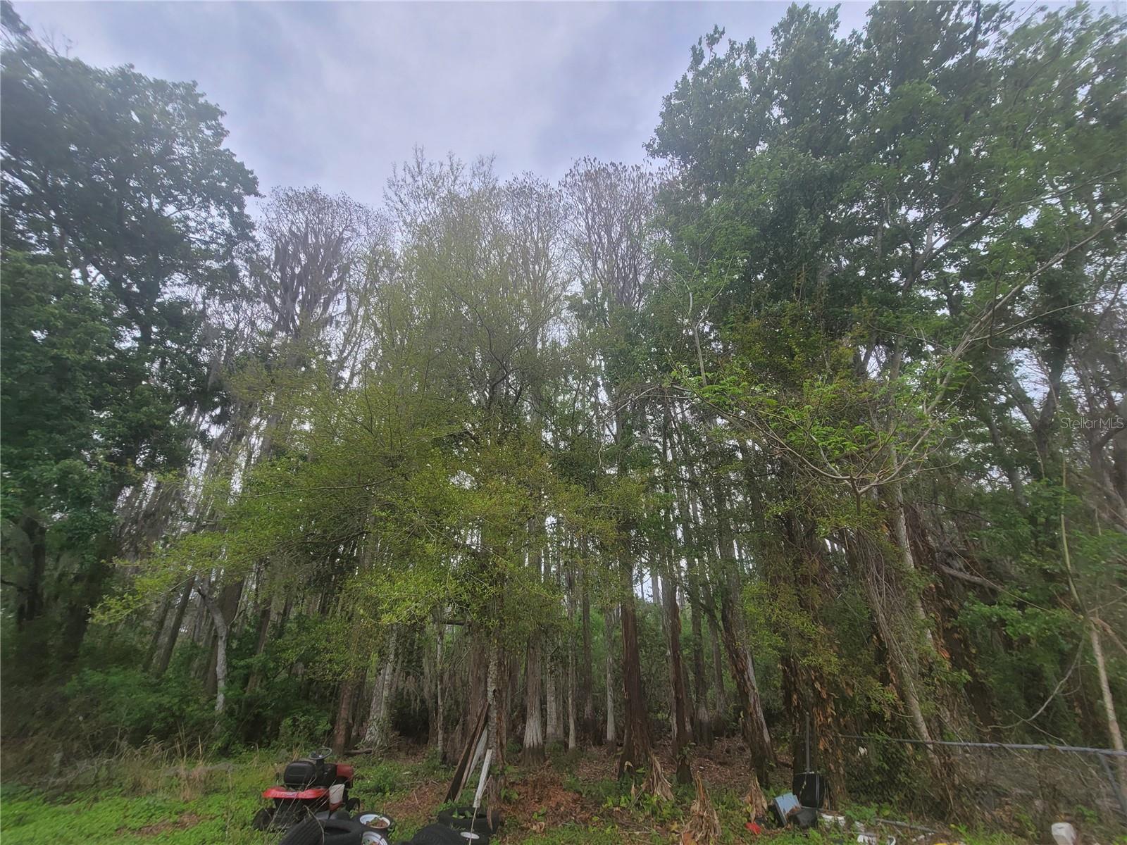 BEAR CREEK ESTATES - Land