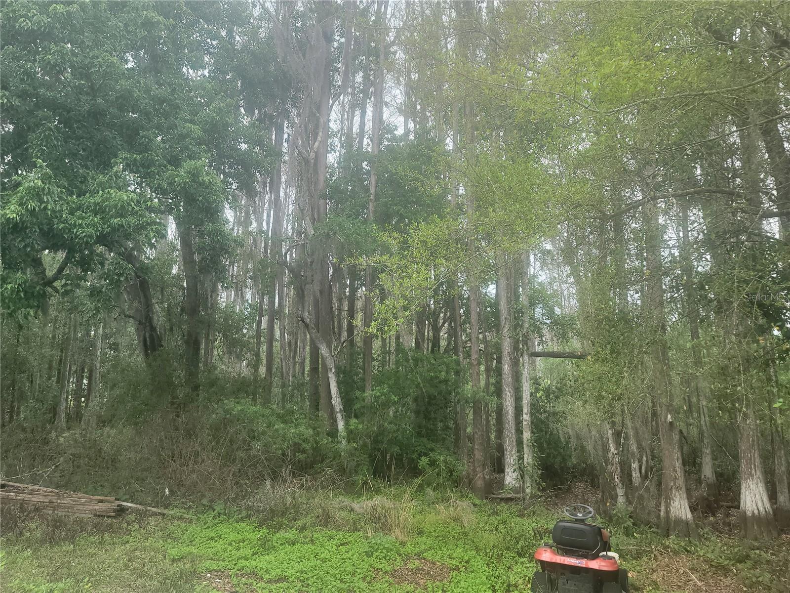 BEAR CREEK ESTATES - Land