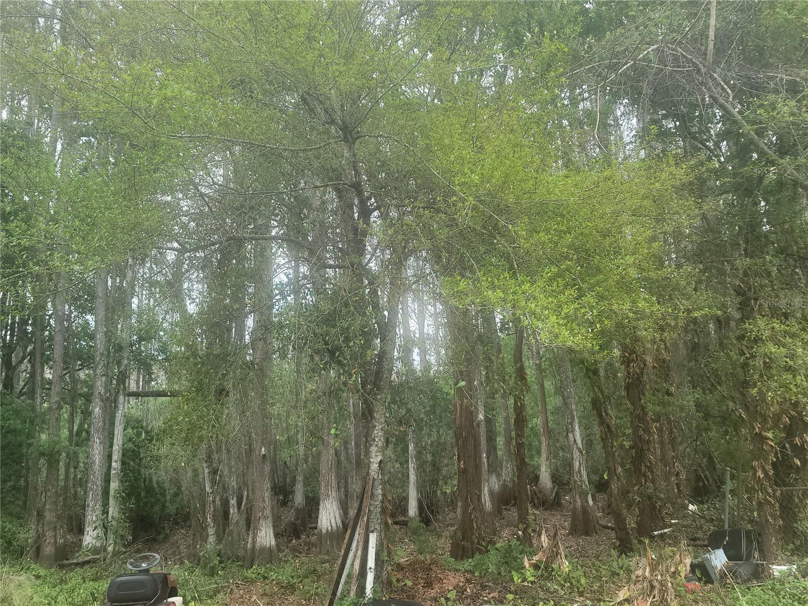 BEAR CREEK ESTATES - Land