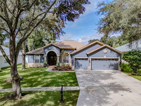 A home in VALRICO