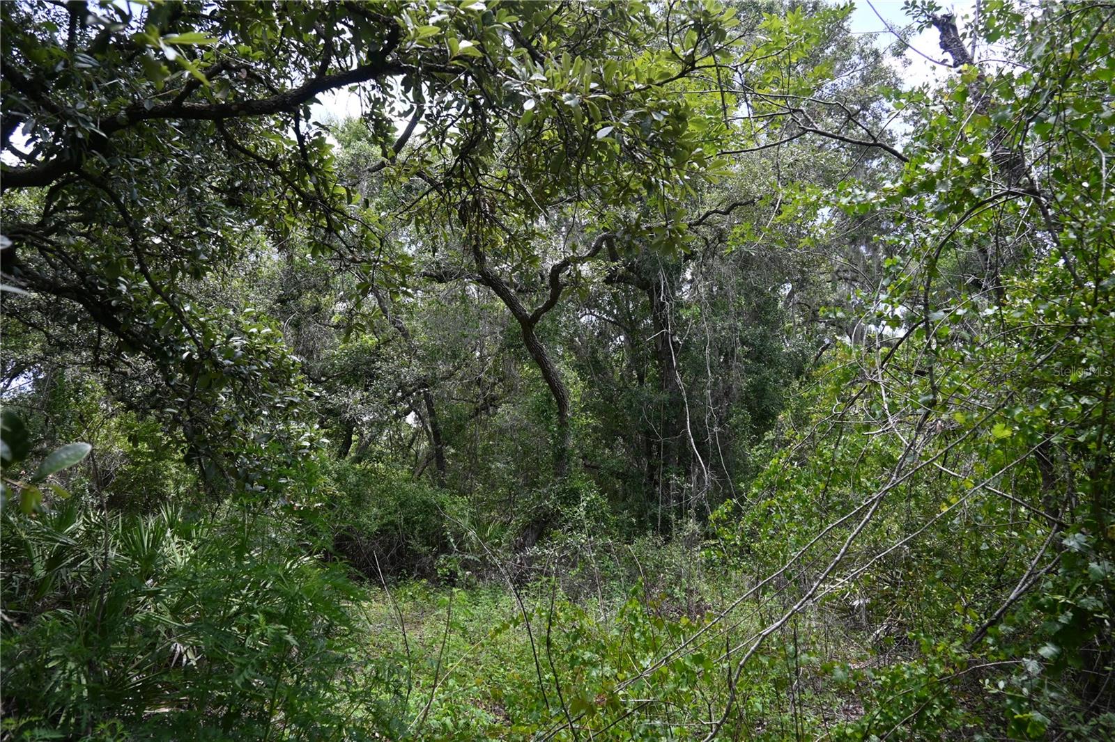 RIVER HEIGHTS ESTATE - Land