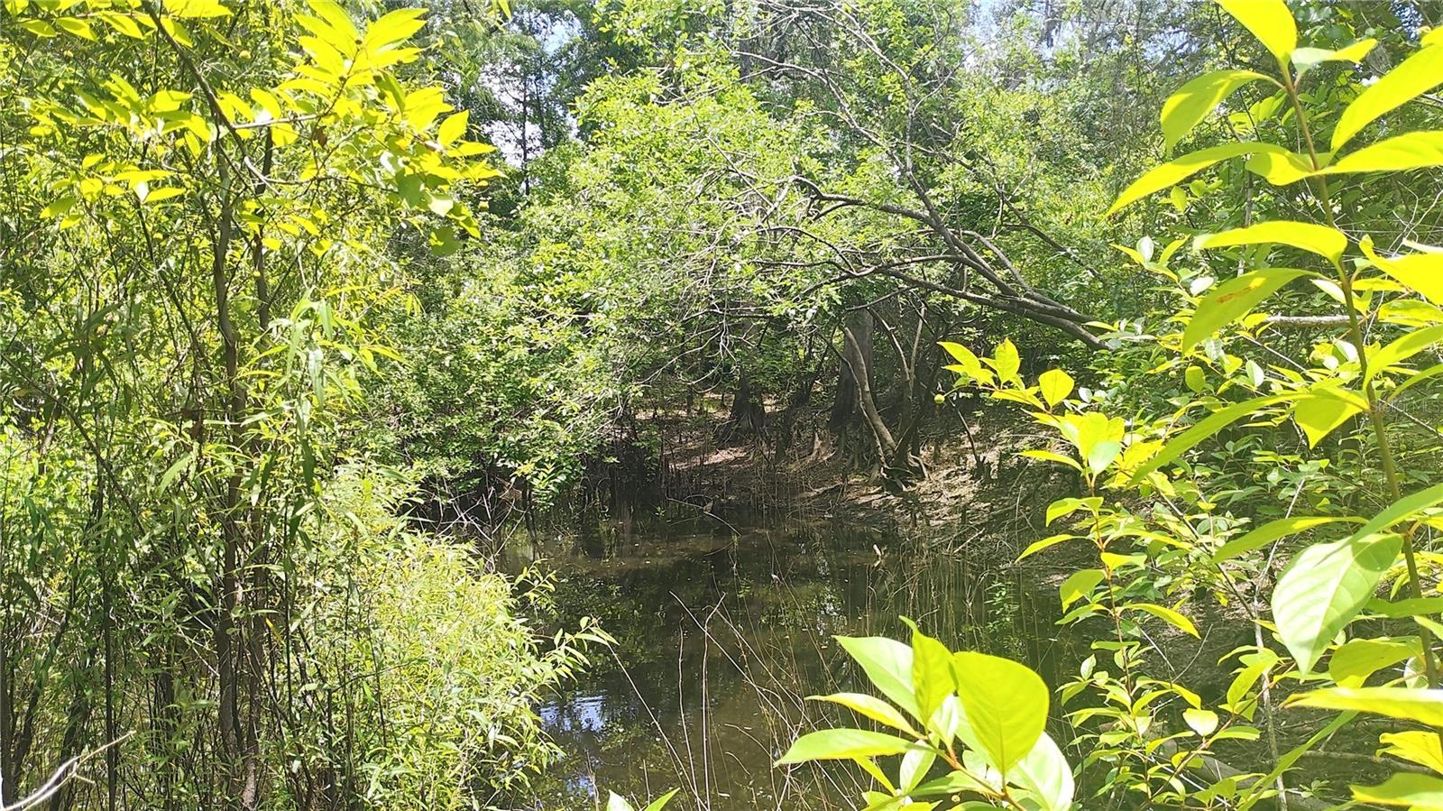 RIVER HEIGHTS ESTATE - Land