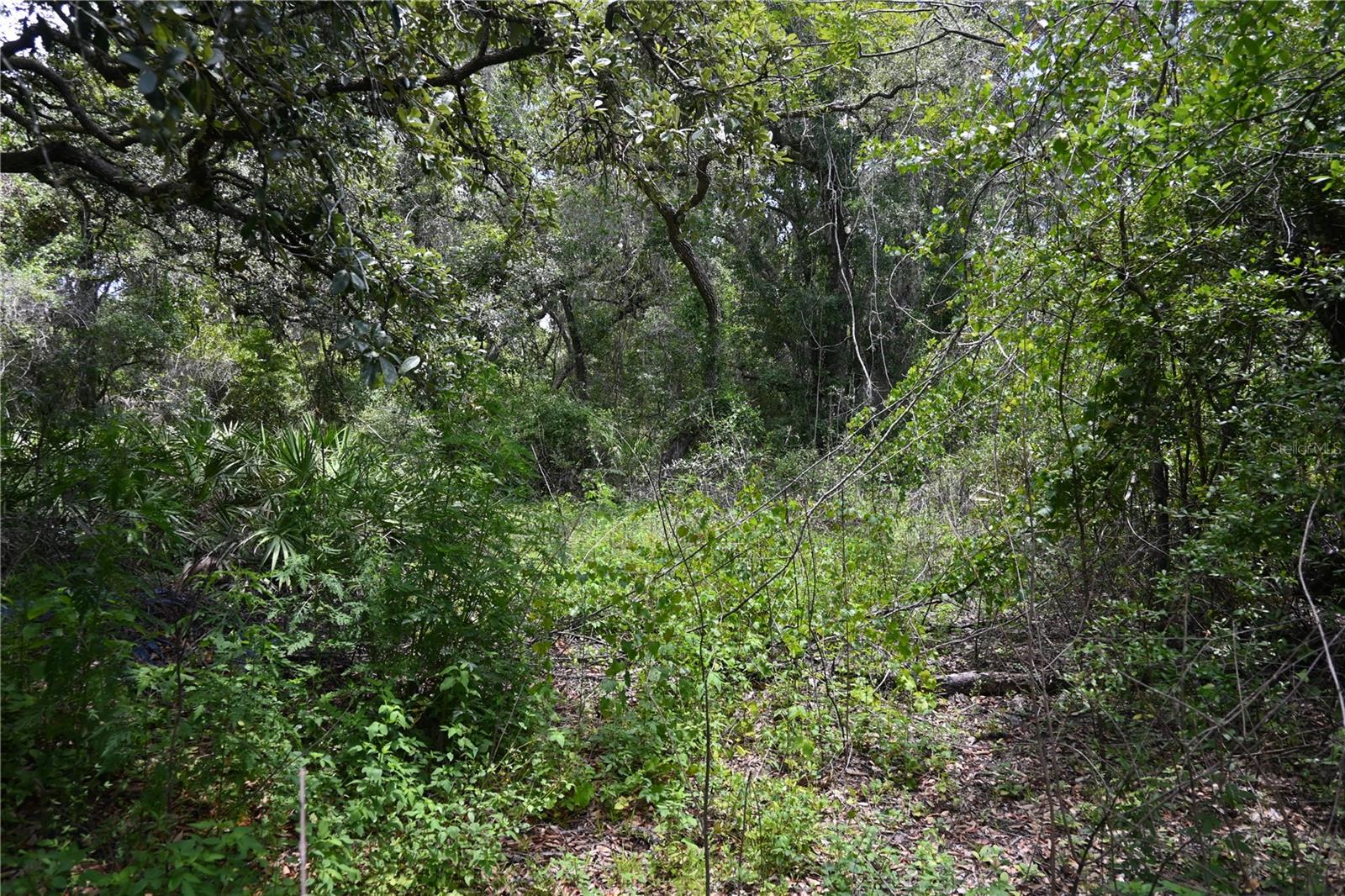 RIVER HEIGHTS ESTATE - Land