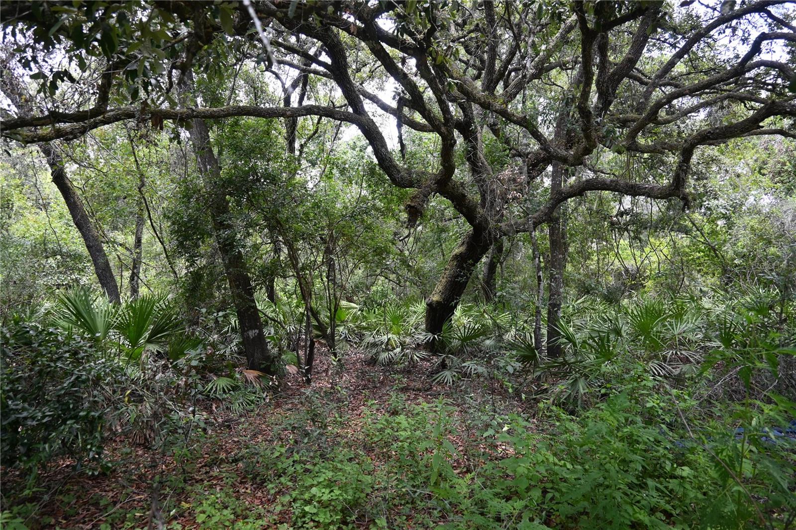 RIVER HEIGHTS ESTATE - Land