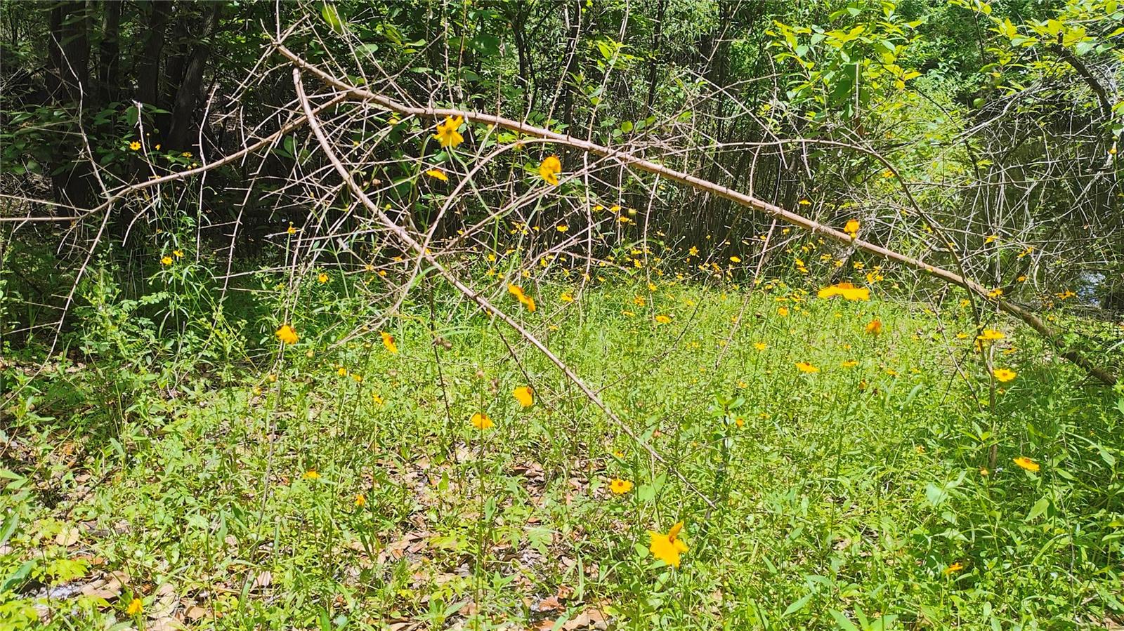 RIVER HEIGHTS ESTATE - Land