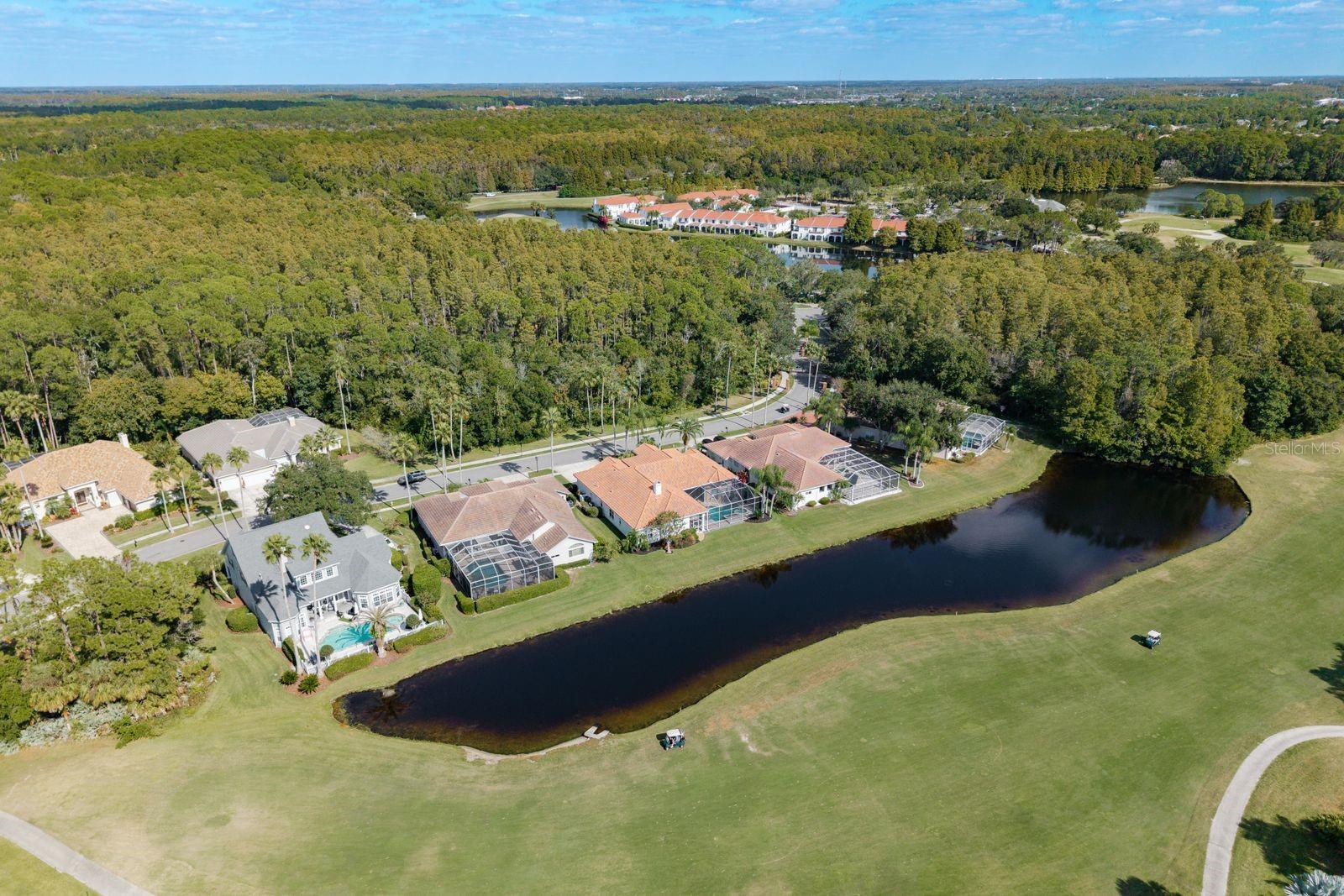 WESTCHASE SEC 203 - Residential