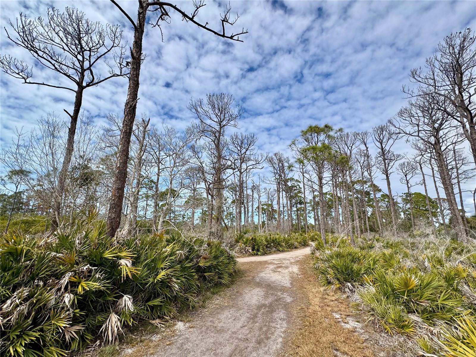 HIDDEN WATERS - Residential