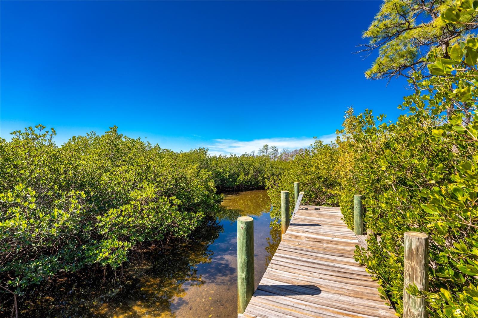 HIDDEN WATERS - Residential