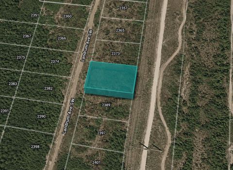 Photo of 2381 Landrum Avenue SW, Palm Bay, FL 32908 (MLS # TB8511859)