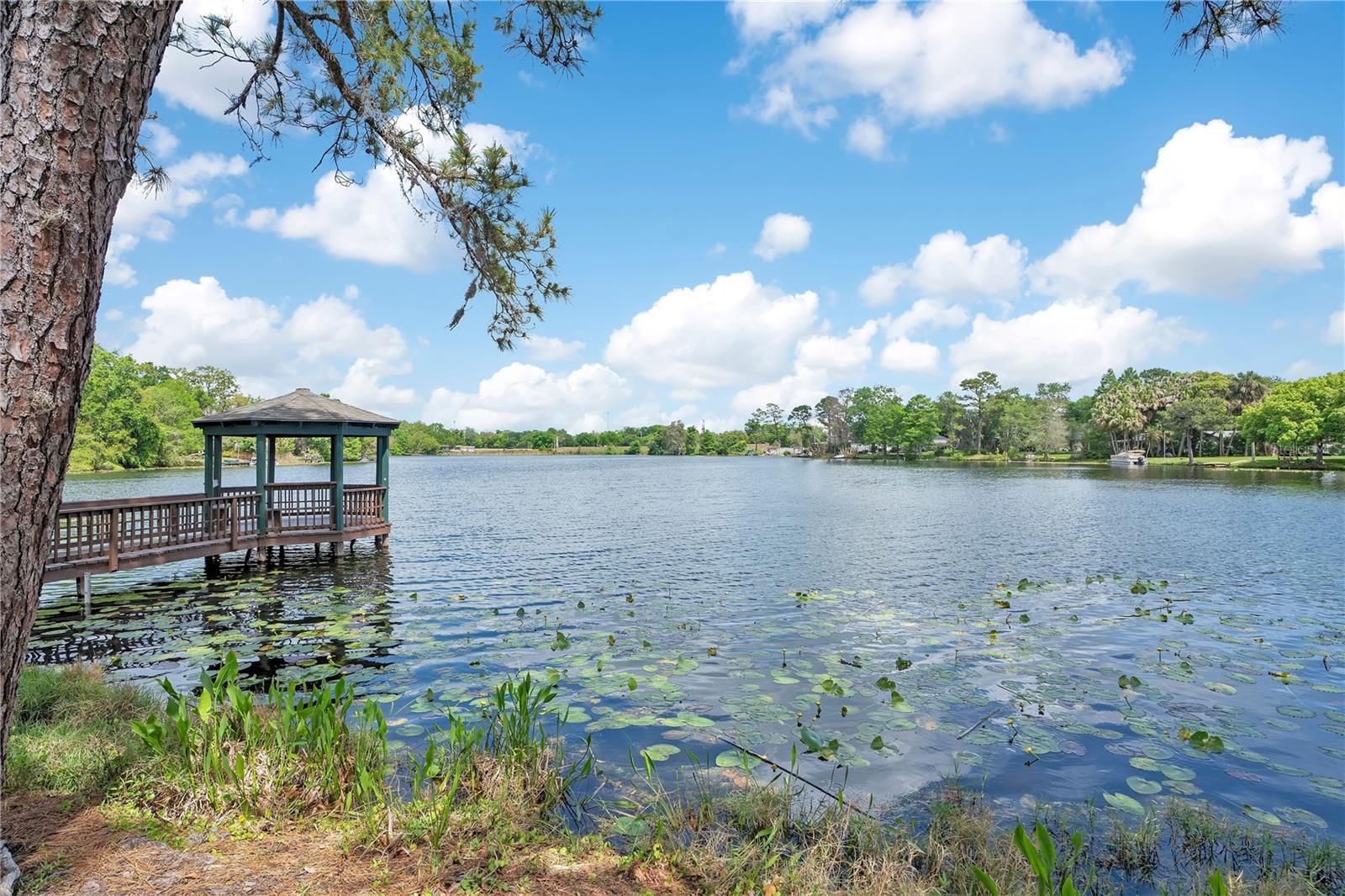 REMINGTON PARK - Residential