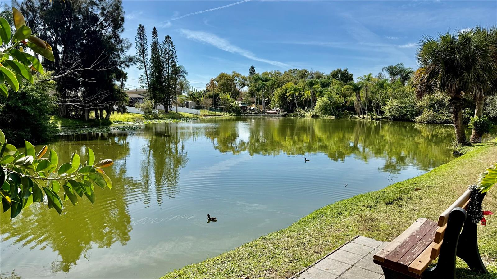 WOODSIDE VILLAGE CONDO - Residential