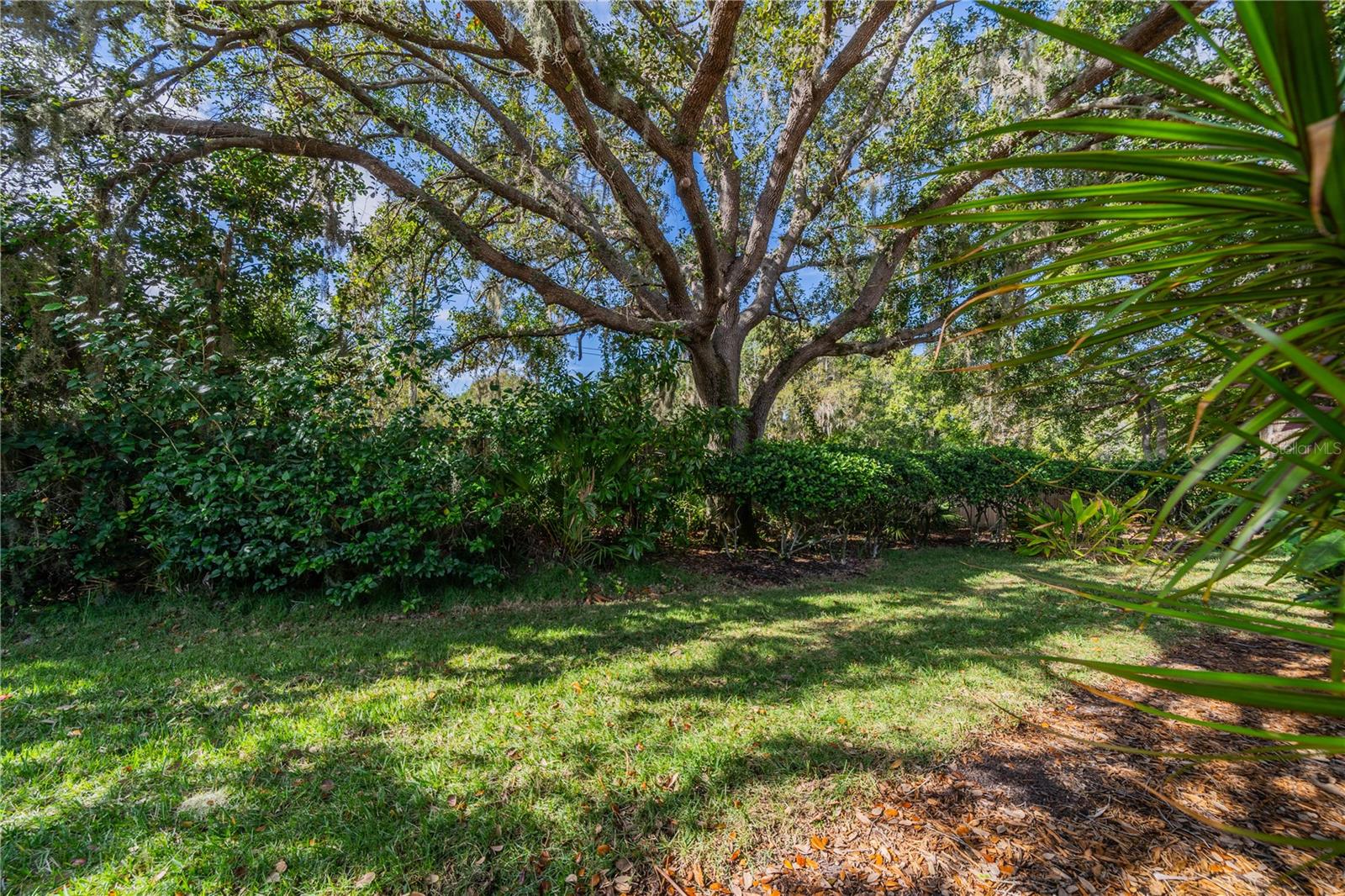 NANTUCKET III CONDO - Residential