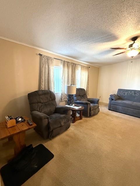 PARADISE ISLAND CO-OP INC - Residential