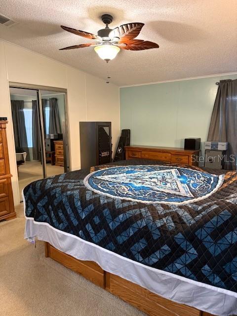 PARADISE ISLAND CO-OP INC - Residential