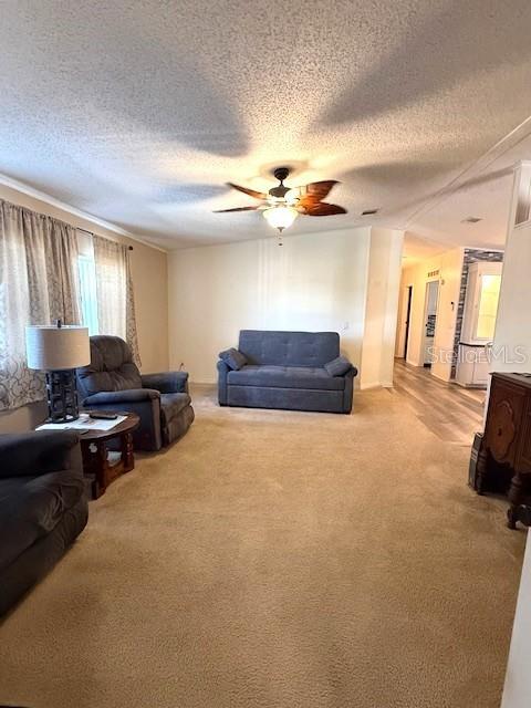 PARADISE ISLAND CO-OP INC - Residential